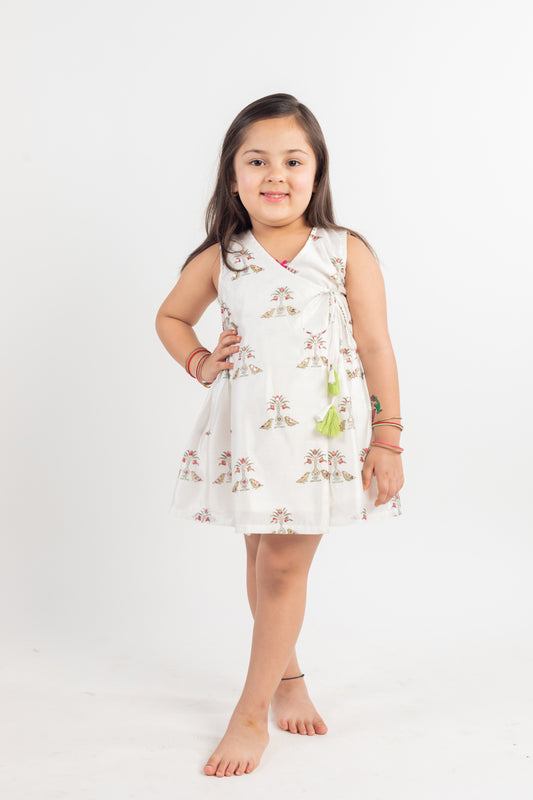 ANGRAKHA DRESS