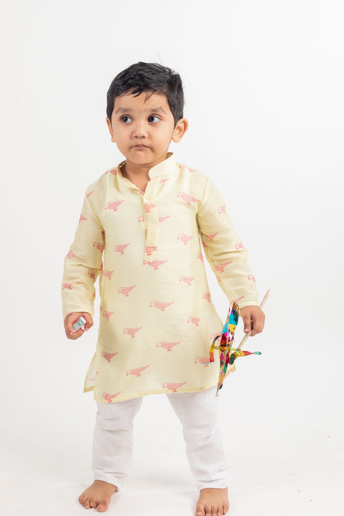 FULL SLEEVES BIRD PRINTED KURTA