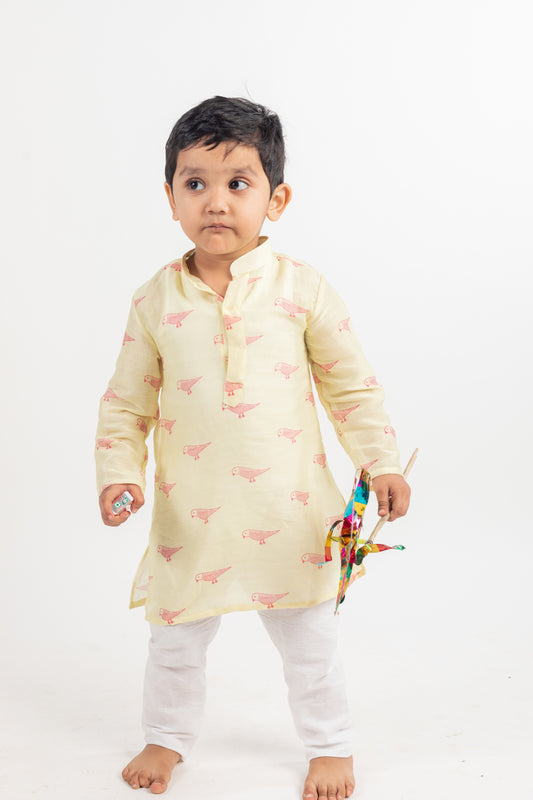 FULL SLEEVES BIRD PRINTED KURTA