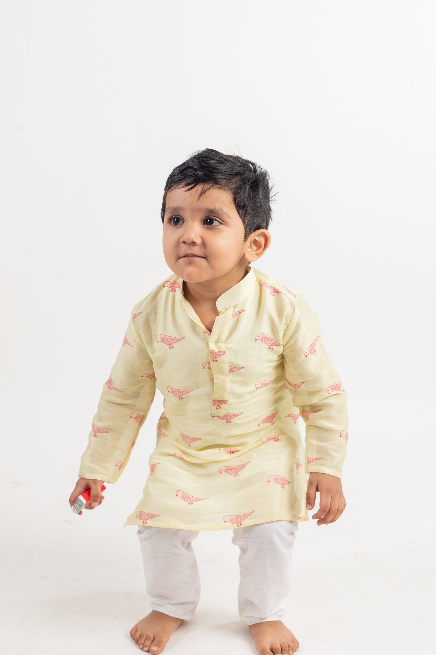FULL SLEEVES BIRD PRINTED KURTA