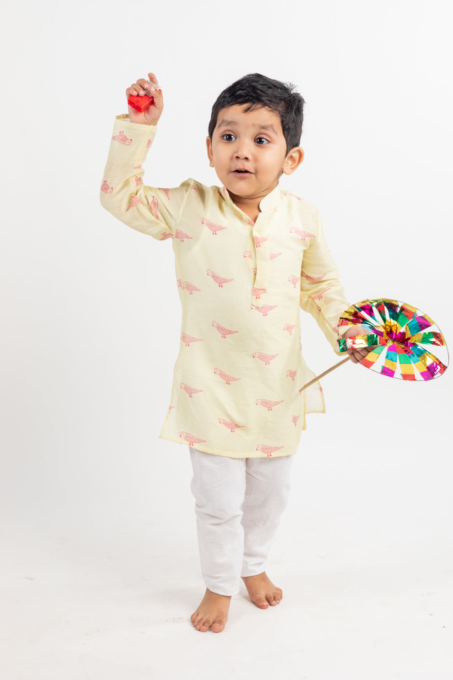 FULL SLEEVES BIRD PRINTED KURTA