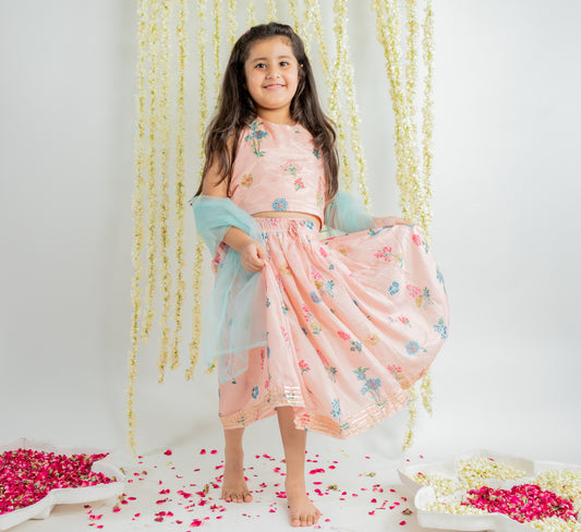 PINK EMBROIDERED LEHENGA  SET - 3 PC